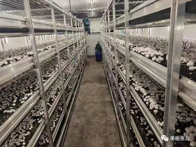 從技術到品牌 以XX科技推廣服務為例看技術推廣如何賦能品牌成長