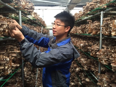 產業服務與技術推廣服務 驅動現代產業升級的雙引擎